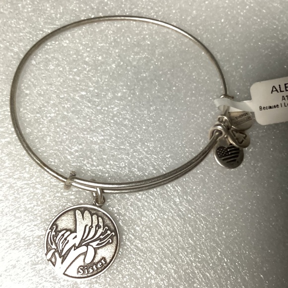 Alex And Ani Bangle Bracelet Because I Love You Sister EWB NWT - Picture 5 of 7
